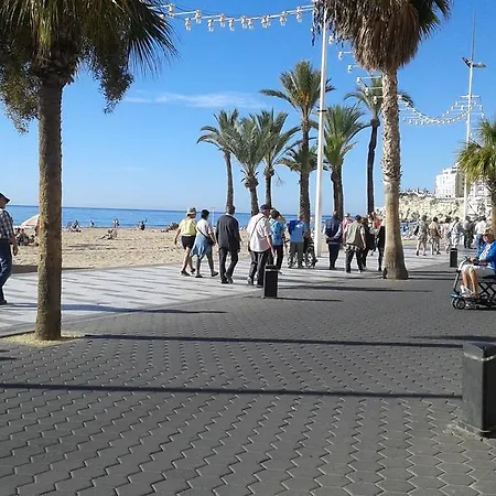 Apartament Rex Benidorm